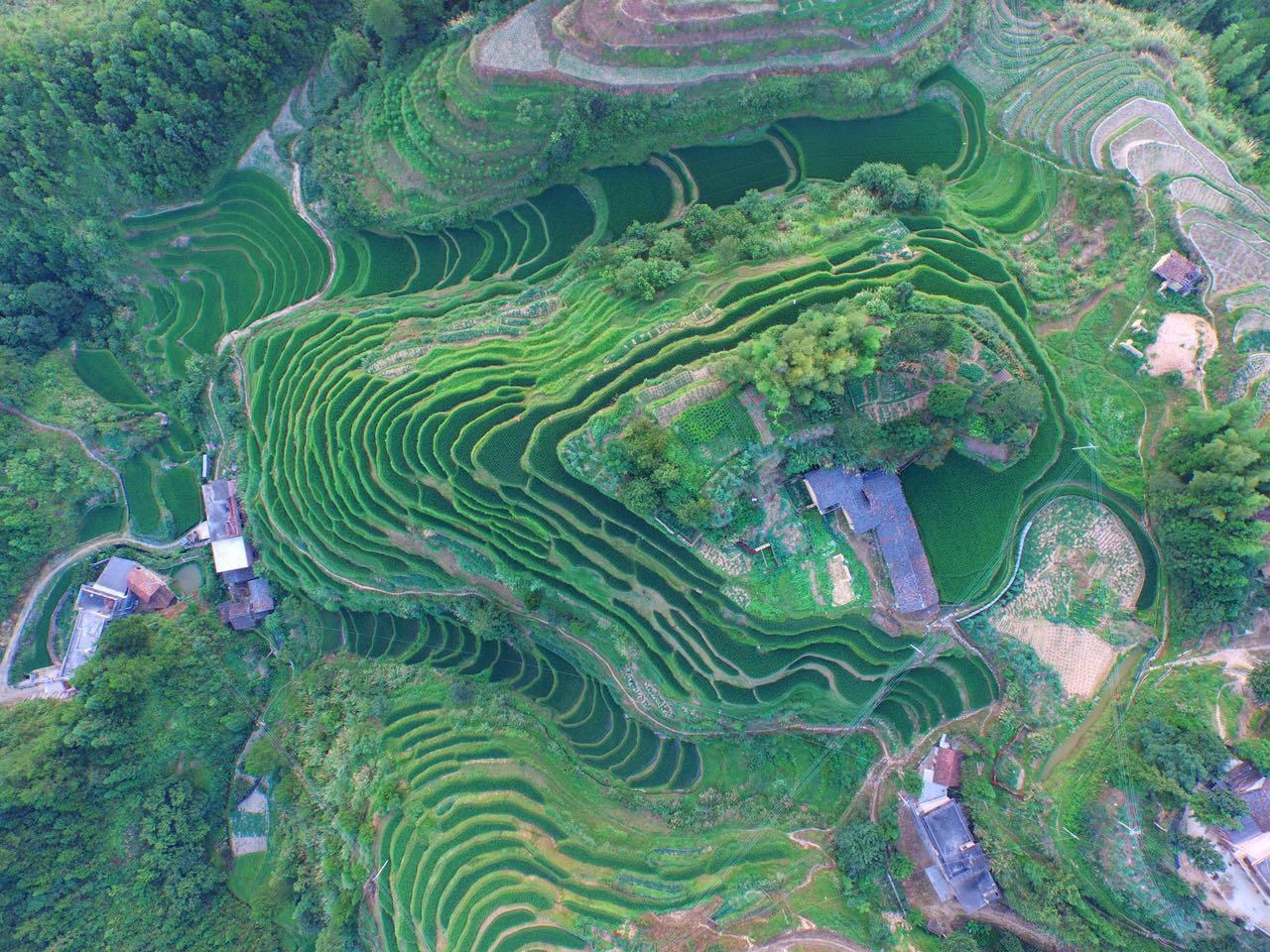 民用航空器维修人员执照管理规则